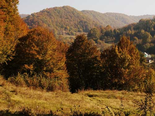 Foto Gipsy Land pe Valea Ilendei (c) Petru Goja